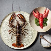 Piatto di astice su ghiaccio, piatto di astice con decorazione verde e ciotola decorativa con sale