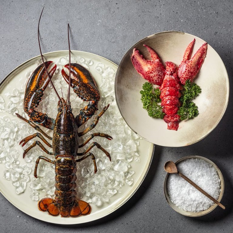 Pesce e crostacei Astice e decorazione di sale